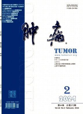 肿瘤封面